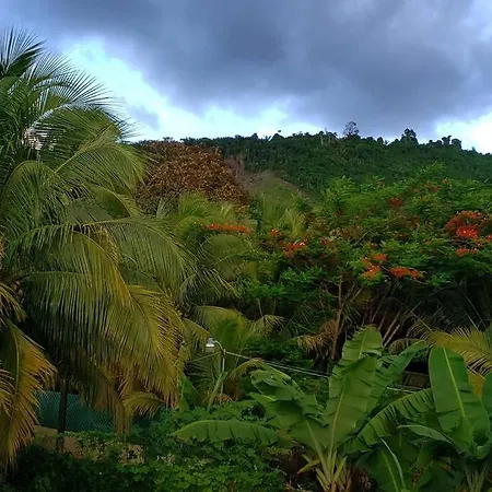 Green Space, Santa Cruz Valley, Trinidad And Tobago